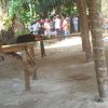 SOROTI KINERJA POLSEK PATUMBAK, WARGA DESAK KAPOLDA SUMUT COPOT KAPOLSEK DAN KANIT RESKRIM TERKAIT DUGAAN BACKUP JUDI